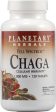 PLANETARY HERBALS - Chaga Full Spectrum 1000 mg - 120 Tablets Online Sale