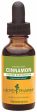 HERB PHARM - Cinnamon Liquid Herbal Extract - 1 fl oz (29.6 ml) Online now