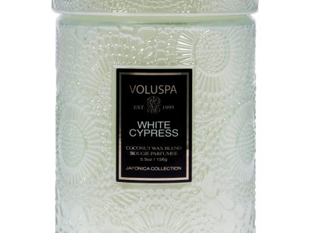 White Cypress - Small by Voluspa for Unisex - 5.5 oz Candle Online Sale