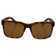 Arnette AN4218 2152 83 Swindle Havana Brown Polarized 57mm Online