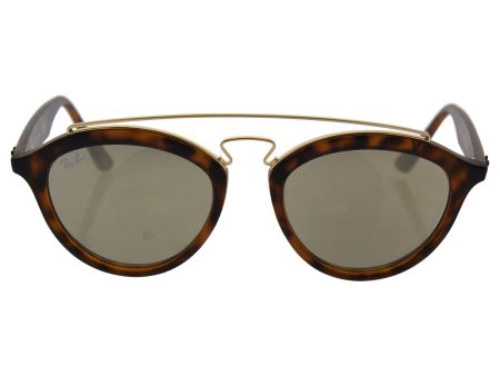 Ray-Ban Women s Injected Woman Sunglass Round, MATTE HAVANA, 50mm Supply